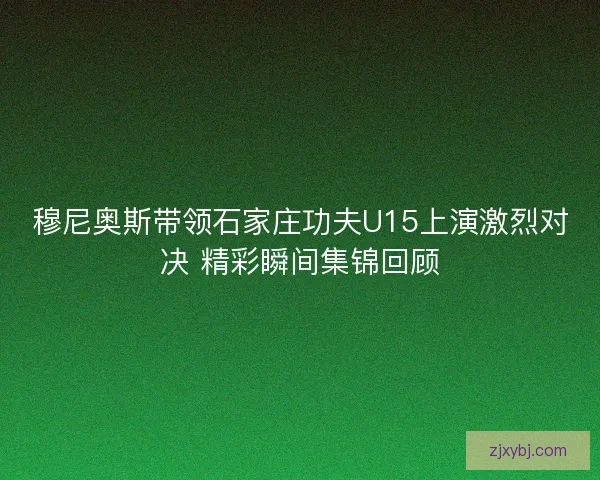 穆尼奥斯带领石家庄功夫U15上演激烈对决 精彩瞬间集锦回顾
