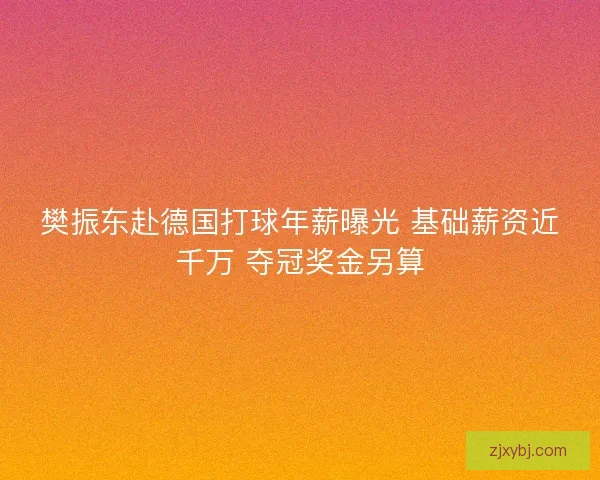 樊振东赴德国打球年薪曝光 基础薪资近千万 夺冠奖金另算
